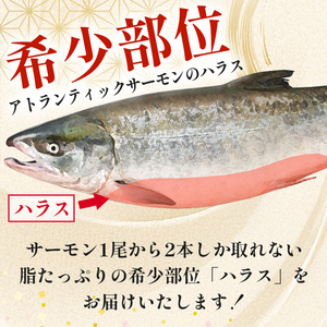 鮭問屋　大トロアトランティックサーモン〈約１kg×2袋〉【AA45】
