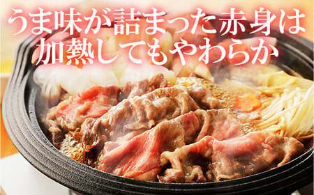 おおいた和牛ももスライス 700g＜123-003＞