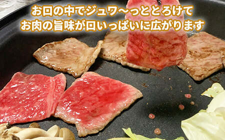 おおいた和牛もも焼肉用 600g＜123-001＞