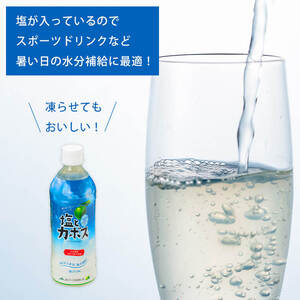 塩とカボス (495ml×24本) かぼす ドリンク ジュース かぼす カボス 塩 食塩 ノンアルコール ペットボトル 大分県産 特産品 家庭用 大分県 佐伯市【HD184】【さいき本舗 城下堂】
