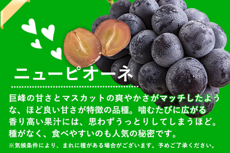 秀品 ピオーネ&シャインマスカット 約1.2kg