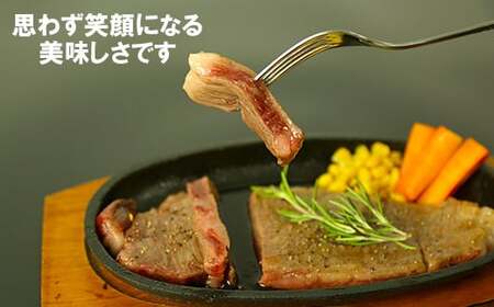 おおいた和牛ロースステーキ 計800g（200g×4枚）＜123-006＞