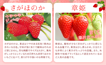 【先行予約】やかげのいちごギフトセット