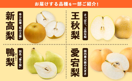 梨 秀品 旬の梨 約4kg