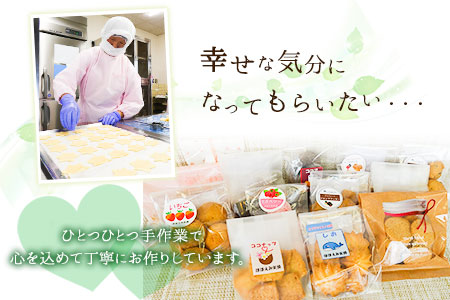 やかっぴークッキー&洋菓子(おまかせ)詰め合わせセットC
