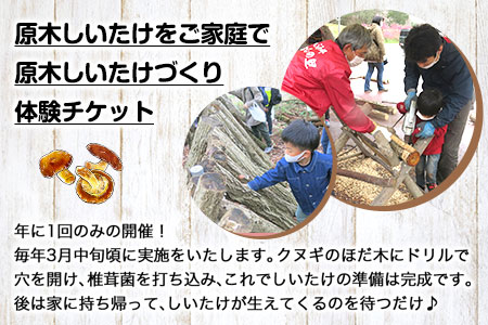 原木しいたけづくり体験チケット(昼食付) 1名様