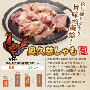 奥久慈しゃも鍋セット(3～4人前) お肉 鶏肉 軍鶏 ささみ もも肉 むね肉｜茨城県 大子町 奥久慈 袋田 鶏肉 地鶏 しゃも 鍋 セット つゆ （AR013）