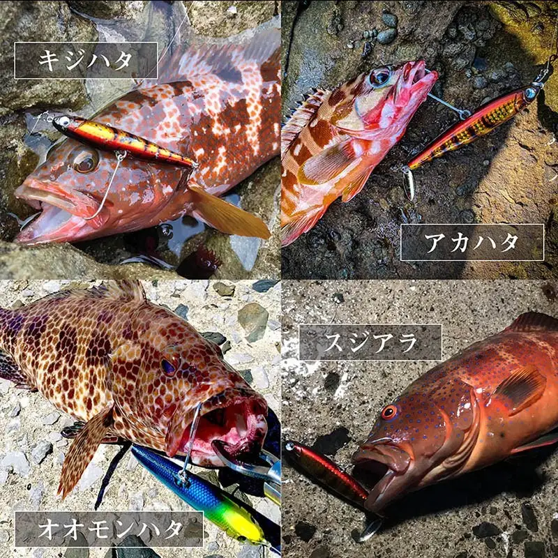 魚極ペン35g セレクト3セット【A8-079】
