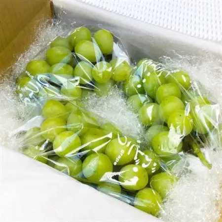 栃木県小山市産シャインマスカット約2.0kg(3～4房)【配送不可地域：離島】【1297371】