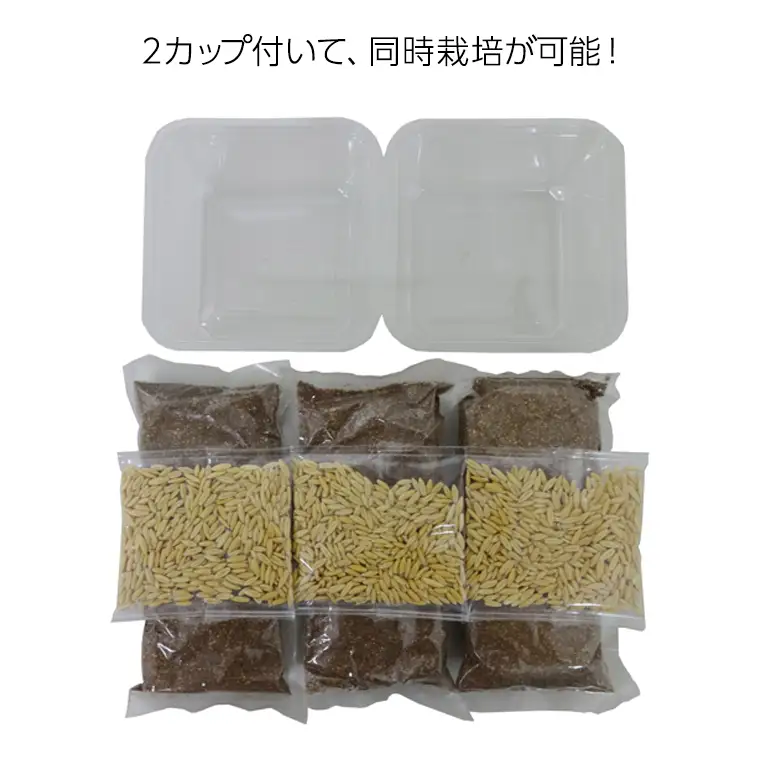 Nyantaste ねこ草ランド栽培セット 3回分×5袋 毛玉ケア 猫用 犬用 ペットフード [BU005sa]