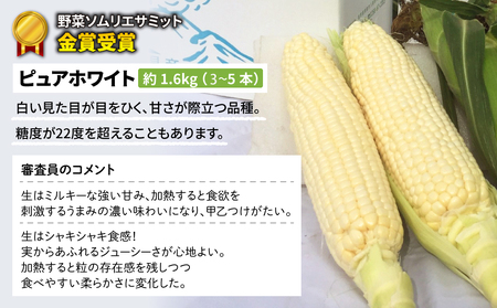 【先行受付2026年発送】野菜ソムリエサミット金賞受賞！東御市産とうもろこし（ピュアホワイト・ゴールドラッシュ）約3.2kg（7～10本）｜スイートコーン ※2026年7月上旬～9月上旬に順次発送予定※着日指定不可