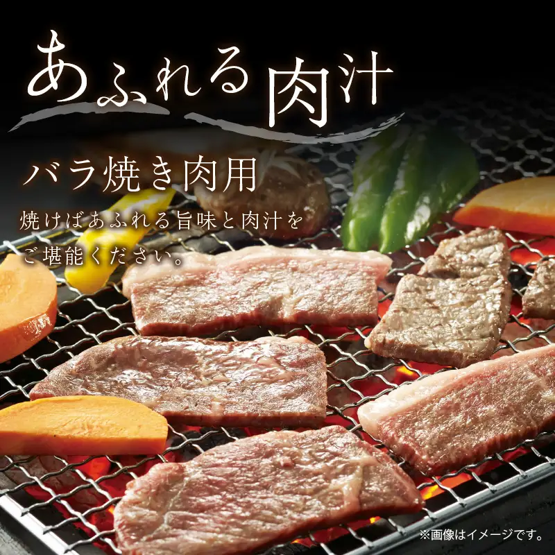 【京都モリタ屋】京都産和牛サーロインステーキ 約200g×3・バラ焼肉用 約600g
