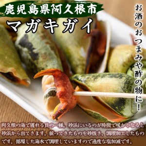 マガキガイ(300g×5パック) 国産 鹿児島県産 阿久根市産 魚介 魚貝 海産物 水産加工品 キケみな チャンバラガイ セット 詰め合わせ 冷凍配送【福美丸水産】akn033-13