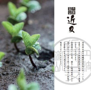 【冷凍なのでいつでも！】丹波篠山市産「丹波黒」枝豆 1ｋｇ（500g2袋） BA54 プレミアム枝豆 日本三大枝豆 丹波篠山黒枝豆 大粒 丹波 黒豆 丹波黒 黒大豆 濃厚 美味しい 旬 ご当地 お取り寄せ グルメ 冷凍配送 冷凍食品