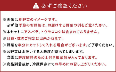 【有機JAS認定】季節の野菜 詰め合わせ 15種類～18種類程度 ～有機野菜セットB～ 北海道北広島市