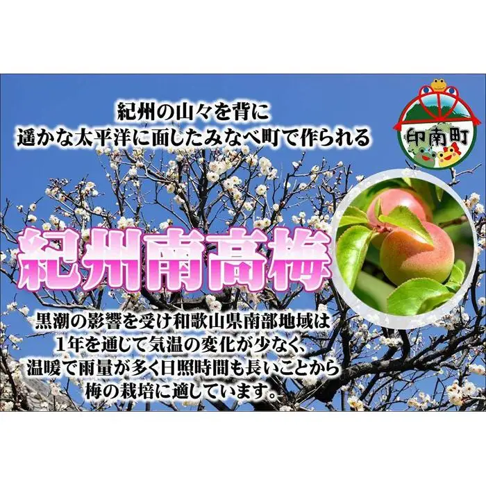味くらべ梅　6種類の南高梅　各3粒ずつ