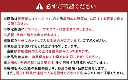 【12ヶ月定期便】有機JAS認定 季節の野菜 詰め合わせ～有機野菜セットB～  北海道北広島市