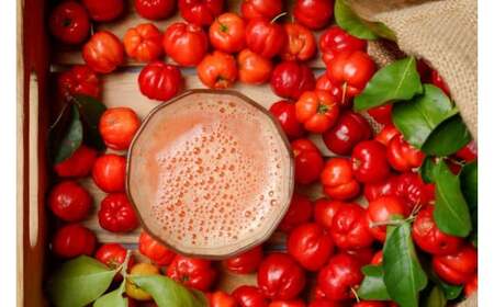 アセロラ100 ストレート100%ジュース(500ml×24本)