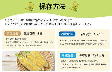 朝採れ とうもろこし スイートコーン 3Lサイズ キャンプ BBQ 人気 トウモロコシ 生 野菜 産地直送 朝どれ 甘い 期間限定 国産 旬 夏野菜