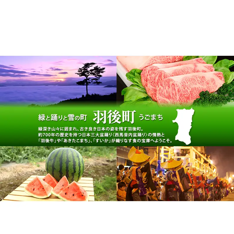 100日熟成の極上のお供！伝統いぶりがっこ「金の蔵」豪華5種詰め合わせA［須藤健太郎商店］【 漬物 漬け物 いぶりがっこ 燻製 大根 だいこん スモークチーズ ふりかけ ご飯のお供 おつまみ 家飲み 長期熟成 詰め合わせ セット ギフト 秋田 羽後 】