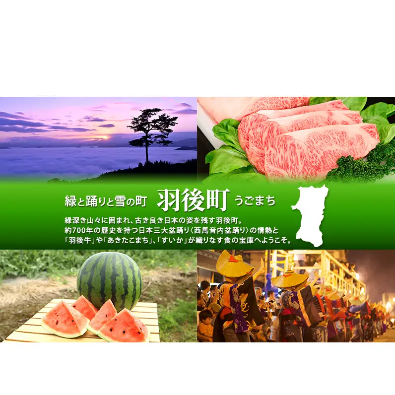 100日熟成の極上のお供！伝統いぶりがっこ「金の蔵」大満足の4種詰め合わせB［須藤健太郎商店］【 漬物 漬け物 いぶりがっこ 燻製 大根 だいこん スモークチーズ ふりかけ ご飯のお供 おつまみ 家飲み 長期熟成 詰め合わせ セット ギフト 秋田 羽後 】
