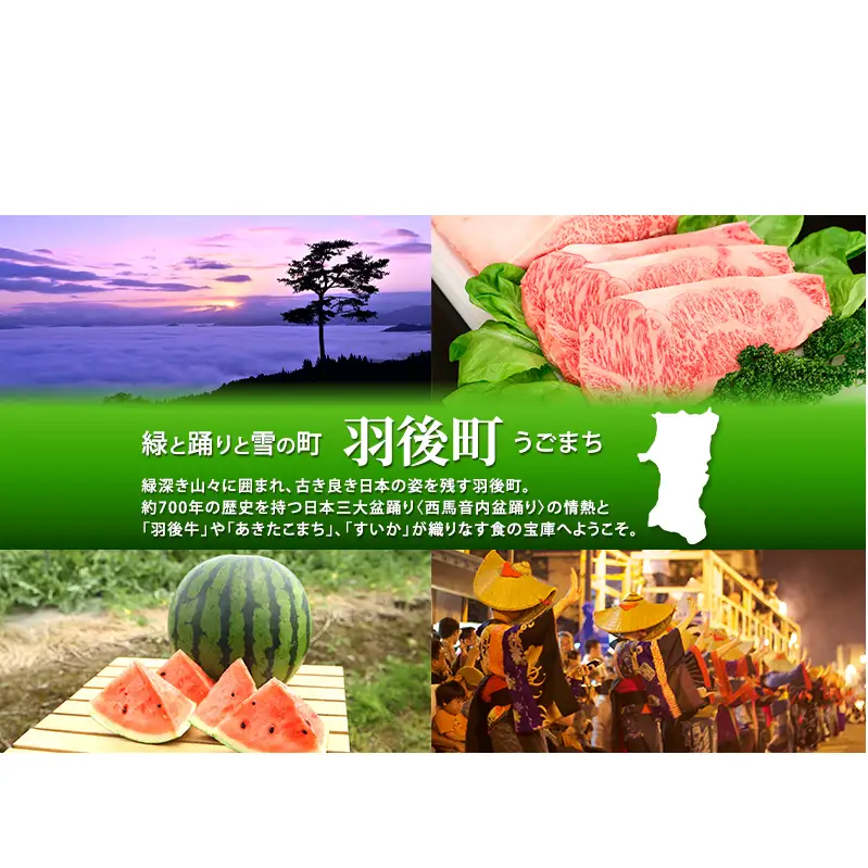 100日熟成の極上のお供！伝統いぶりがっこ「金の蔵」お手軽4種詰め合わせC［須藤健太郎商店］【 漬物 漬け物 いぶりがっこ 燻製 大根 だいこん スモークチーズ ふりかけ ご飯のお供 おつまみ 家飲み 長期熟成 詰め合わせ セット ギフト 秋田 羽後 】