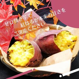 2025年度産 濃厚な甘みのさつまいも 紅はるか 約5kg｜さつまいも 芋 お芋 紅はるか 渋谷農園 茨城県 行方市(BZ-15)