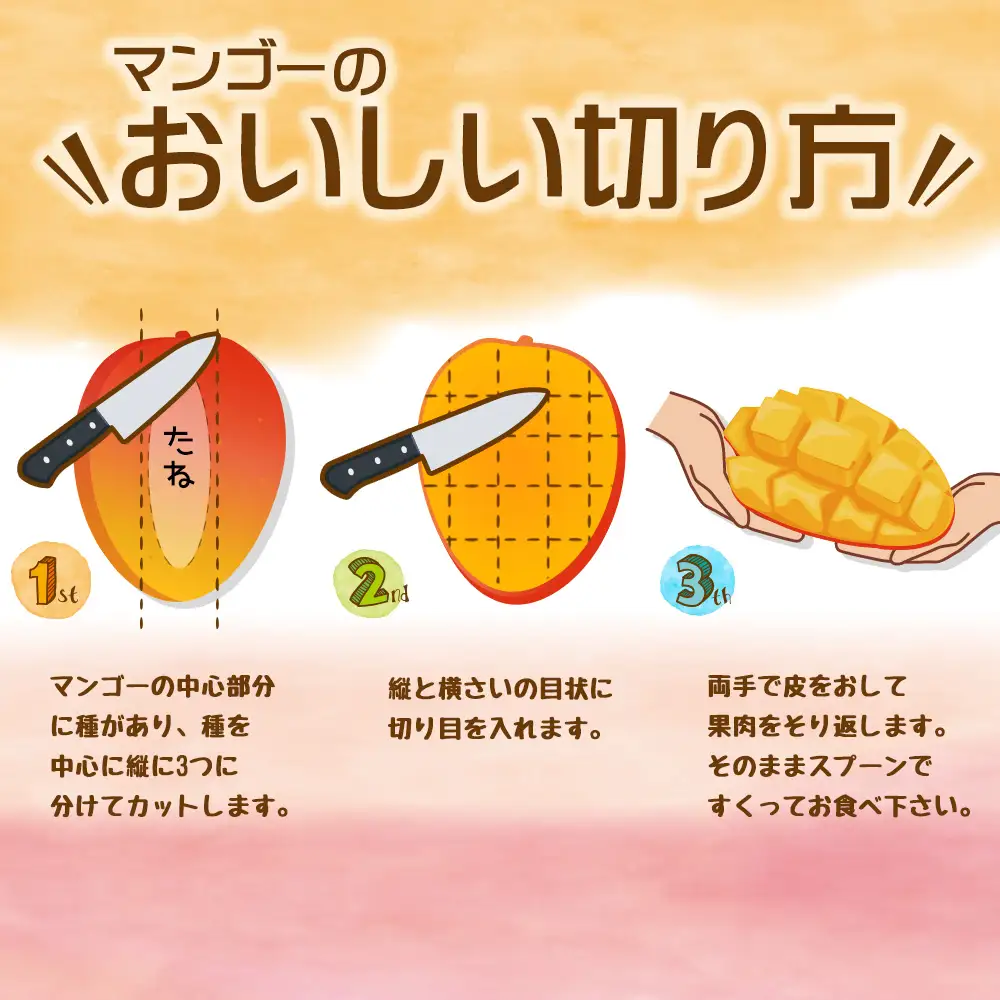 南国奄美のアップルマンゴー 傷物・訳あり 約2kg【2026年発送】 鹿児島県 奄美群島 奄美大島 龍郷町 国産 奄美産 青果 果物 くだもの フルーツ 南国 トロピカル デザート スイーツ 濃厚 とろける 甘い アップルマンゴー 訳あり 2kg