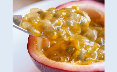 2026年発送【奄美大島産】秀品パッションフルーツ 約1kg フルーツ