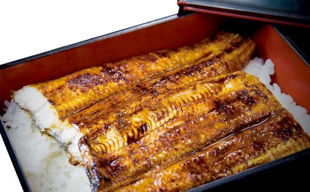 うなぎ 鹿児島県産　うなぎ蒲焼　約70g×6枚【タレ・山椒付】 