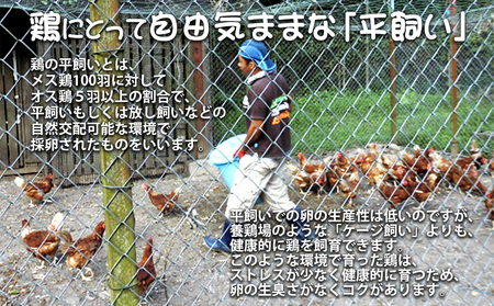 奄美大島の平飼い有精卵　40個入り 鹿児島県 奄美群島 奄美大島 龍郷町 国産 奄美産 たまご 卵 エッグ 有精卵 平飼い お取り寄せ