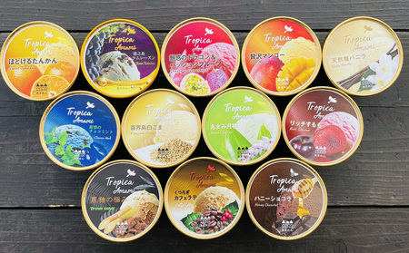 奄美の素材をたっぷり使った贅沢ジェラート詰合わせ　12個入 アイス あいす カップアイス 果物アイス  