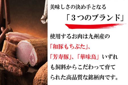 本場ドイツで連続受賞 8点セット (合計約840g) 匠のハム・ベーコン・ソーセージ 合成添加物不使用 詰合せ おつまみ おかず 贈答用 ギフト