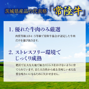 J-6 茨城最高のブランド牛【常陸牛切り落とし】600g