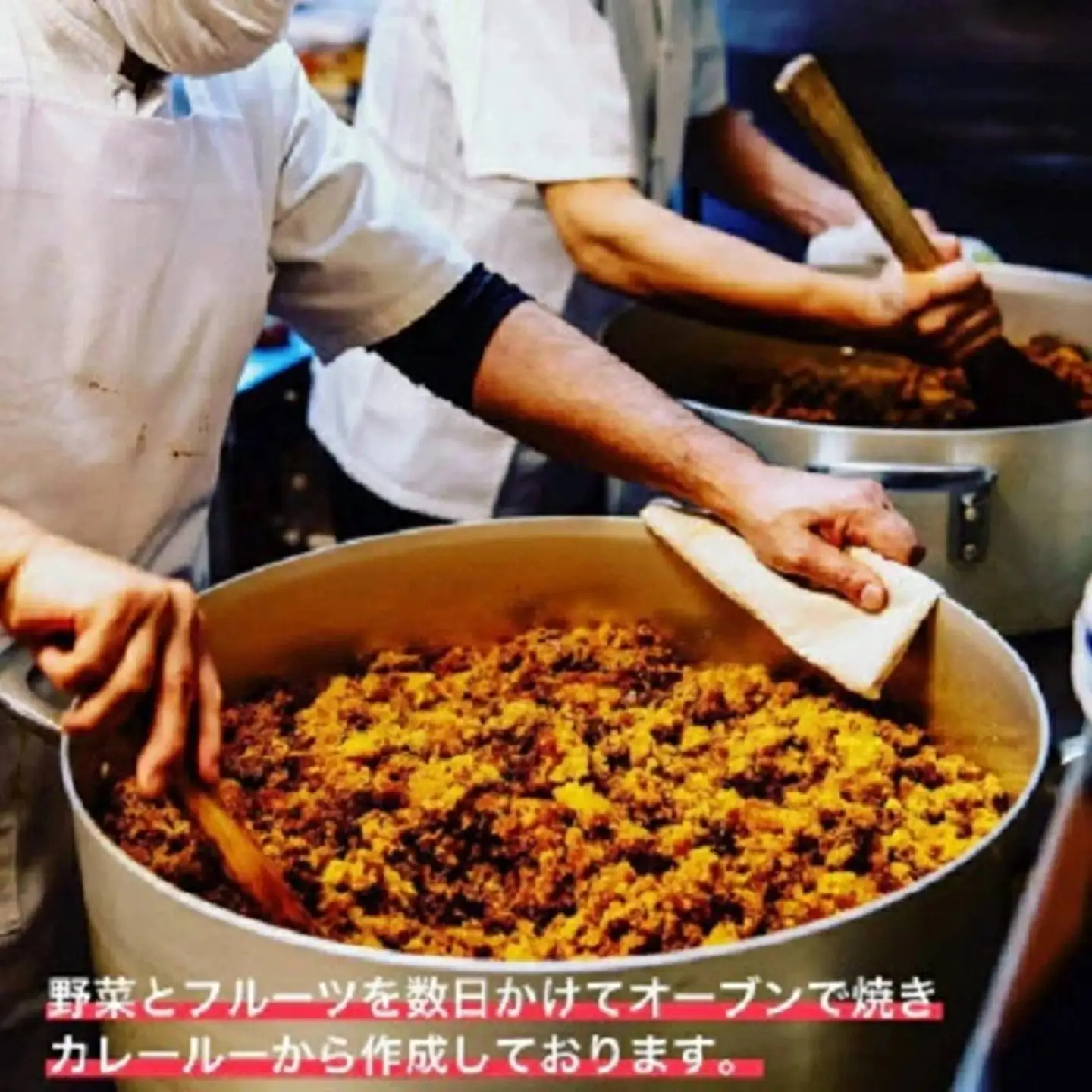 白山文雅 森のきのこカレー5個セット 欧風カレー きのこカレー：B220-046