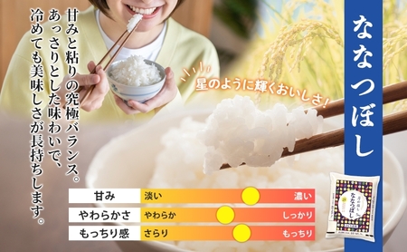 【6ヶ月定期便】北海道 月形 のうまみ 朝ごはんセット まんまる 納豆 18個 ななつぼし 5kg お米 保存料不使用 安心 安全 手作業 美味しい 大粒  タレ付 からし付 お取り寄せ 送料無料 エーコープつきがた  月形町
