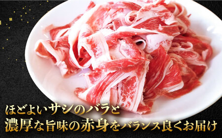 【12回定期便】 黒毛和牛 切り落とし 1.2kg / 牛肉切り落とし [IAX019]