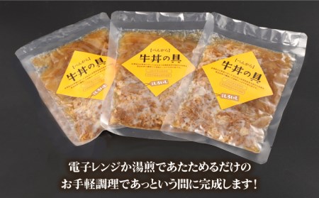 【6回定期便】牛丼の具（120g×3袋入り） / 牛丼 [IAZ007]