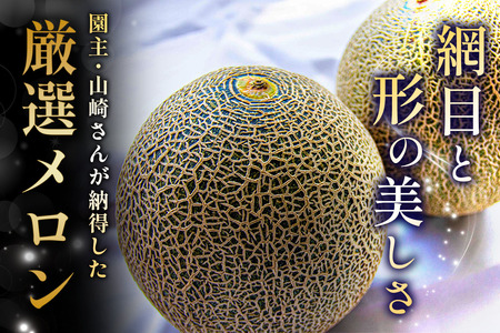 【先行予約】高級 メロン『浮世離れ』2玉【2026年7月下旬から8月上旬まで順次発送】一度は食べてみたい！市場に出回らない｜舐瓜 [0892]