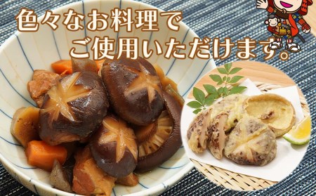 大分県産 原木椎茸2種食べ比べセットＡ(どんこ・香信) | 干し椎茸 乾燥椎茸 乾しいたけ しいたけ 九州産 中津市 国産 送料無料