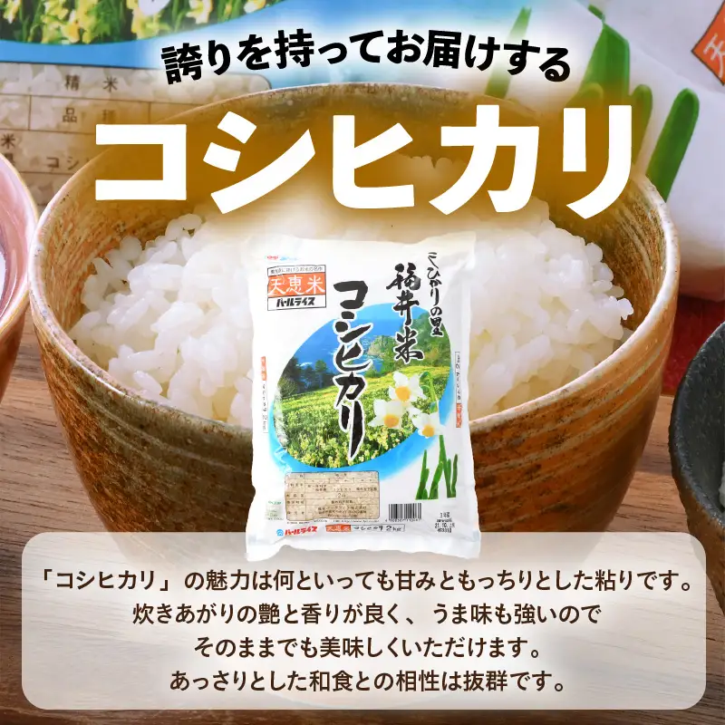 【令和7年産】福井のお米 食べ比べセット 2kg×3種 計6kg ／ 福井県産 ブランド米 ハナエチゼン コシヒカリ いちほまれ 精米 白米 食べ比べ あわら [aw003-b002]