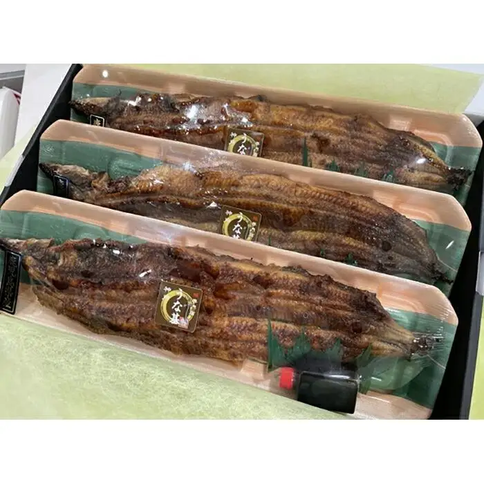 炭火手焼きうなぎの蒲焼　