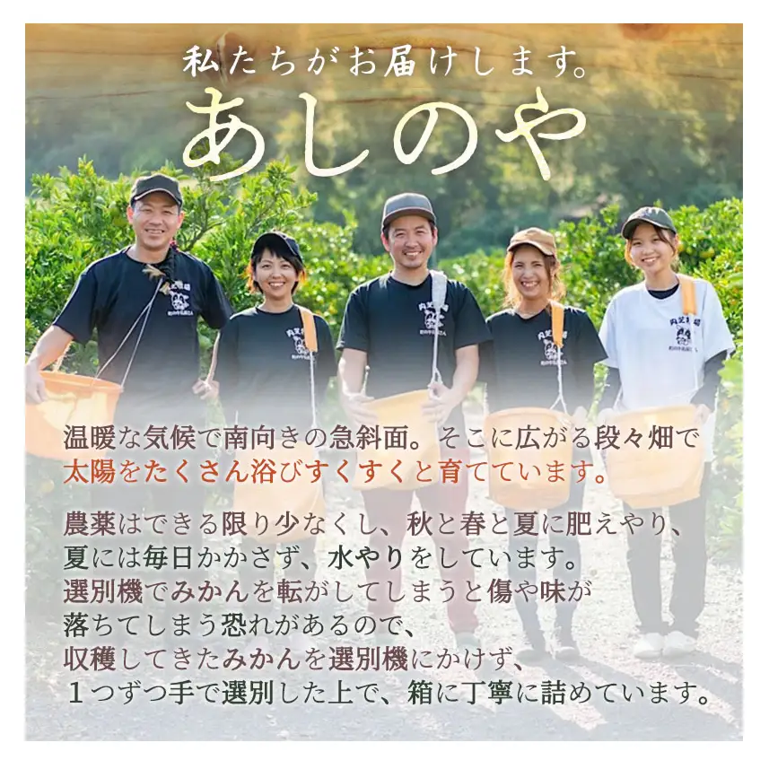 【2027年先行予約】和歌山県産 有田の はるみ 【訳あり 家庭用】 約6kg (S～4Lサイズ混合)_ZE6353n