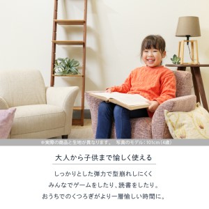IRISmini（イーリスミニ）1人掛けミニソファ 460179001 SG-16(オールド)