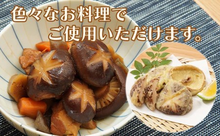 大分県産 原木椎茸2種食べ比べセットD(どんこ・椎茸) | 干し椎茸 乾燥椎茸 乾しいたけ しいたけ 九州産 中津市 国産 送料無料