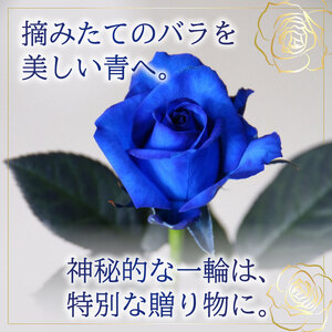 日時指定可】青 バラ 花束 10本 ブーケ 薔薇 花束 父の日 G06_01