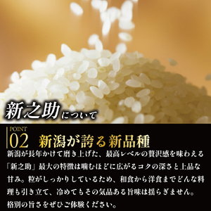 新之助【令和7年産】新之助 5㎏  玄米 米 数量限定 D18_03