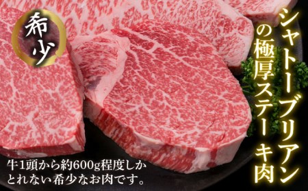 【全6回定期便】【極厚ステーキ】シャトーブリアン 約180g×2枚 サーロインステーキ 約250g×2枚 合計4枚 博多和牛 A4ランク 和牛 ヒレ 糸島市/糸島ミートデリ工房[ACA178]