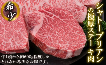 【全6回定期便】【極厚ステーキ】シャトーブリアン 約180g×3枚 サーロインステーキ 約250g×3枚 合計6枚 博多和牛 A4ランク 和牛 ヒレ 糸島市/糸島ミートデリ工房[ACA182]