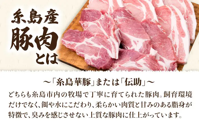 【全6回定期便】糸島豚ロース肉6枚 肩ロースカツ5枚 合計11枚セット 糸島市/糸島ミートデリ工房[ACA230]